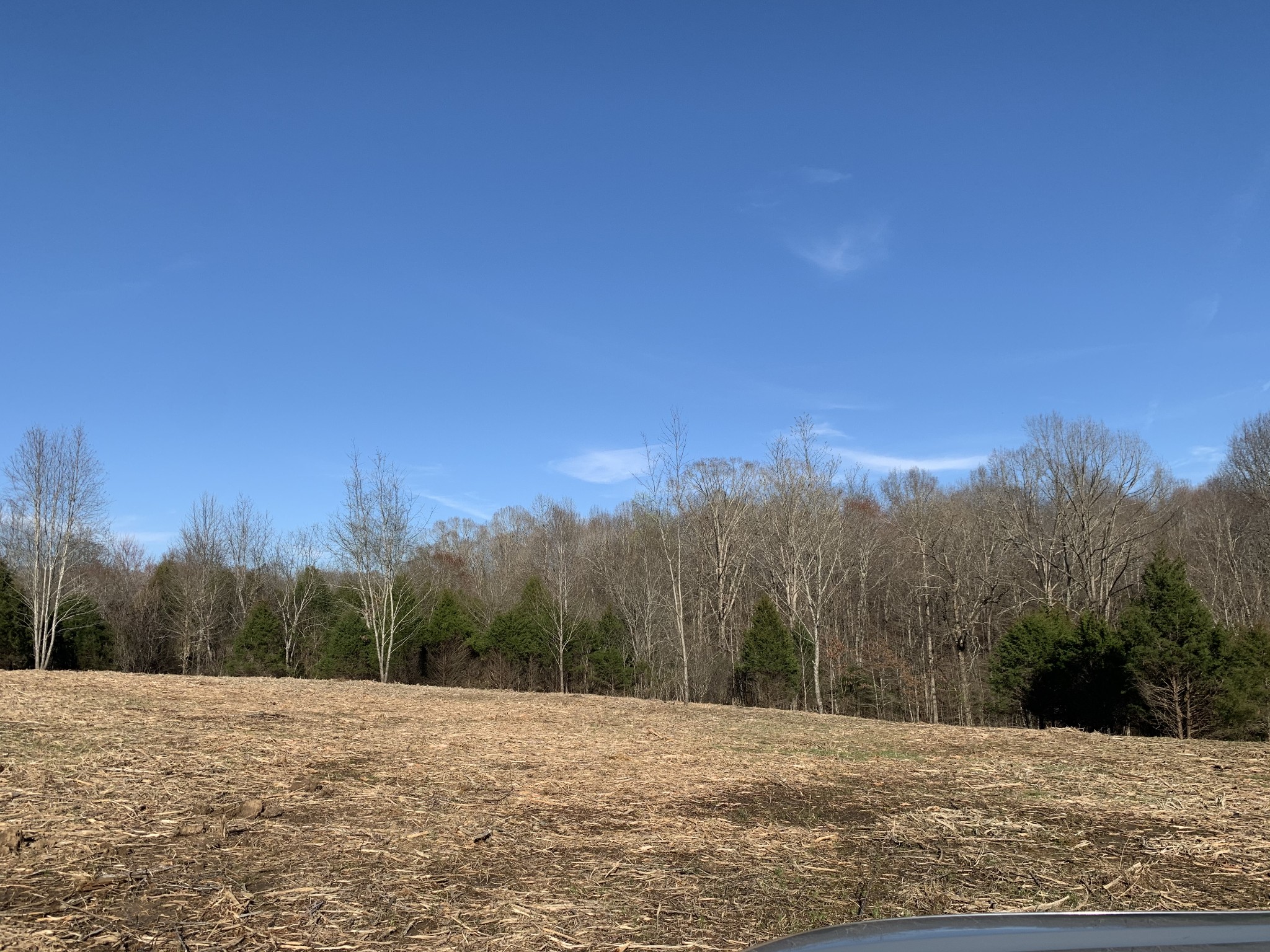 0 Collins Road Vanleer, TN 37181 - Photo 1 of 7 Gallery Image 1