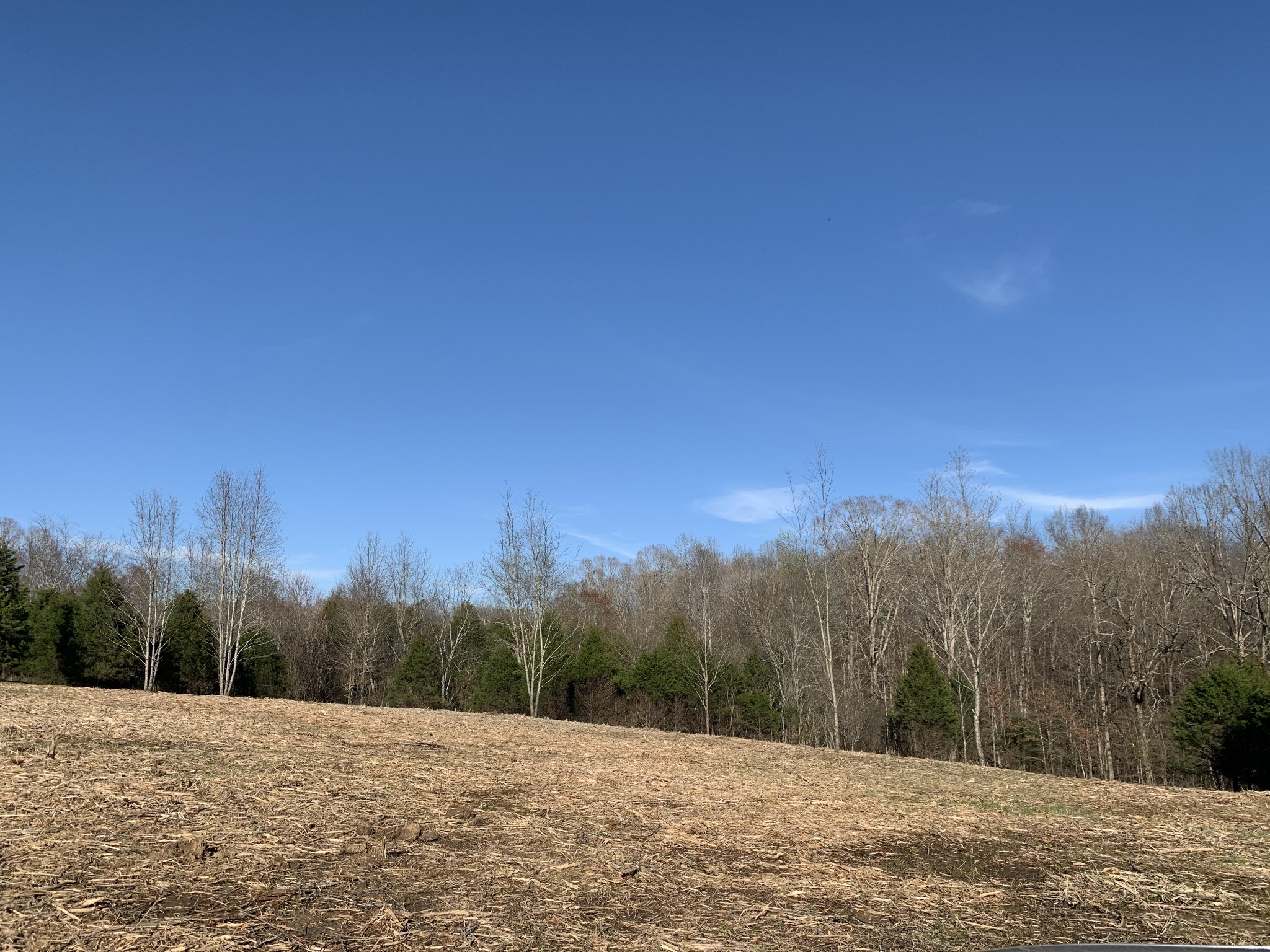 0 Collins Road Vanleer, TN 37181 - Photo 2 of 7 Gallery Image 2