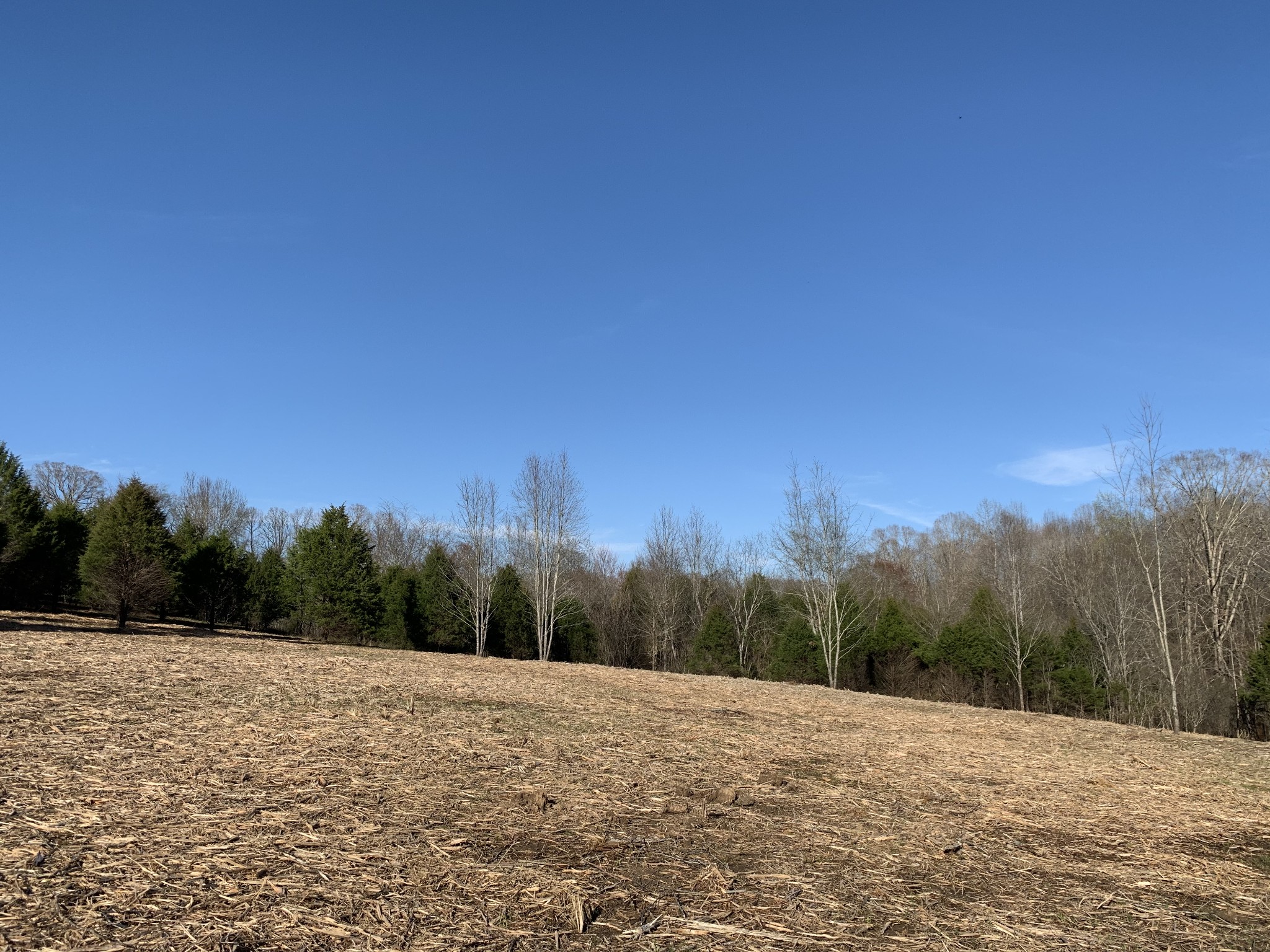 0 Collins Road Vanleer, TN 37181 - Photo 3 of 7 Gallery Image 3