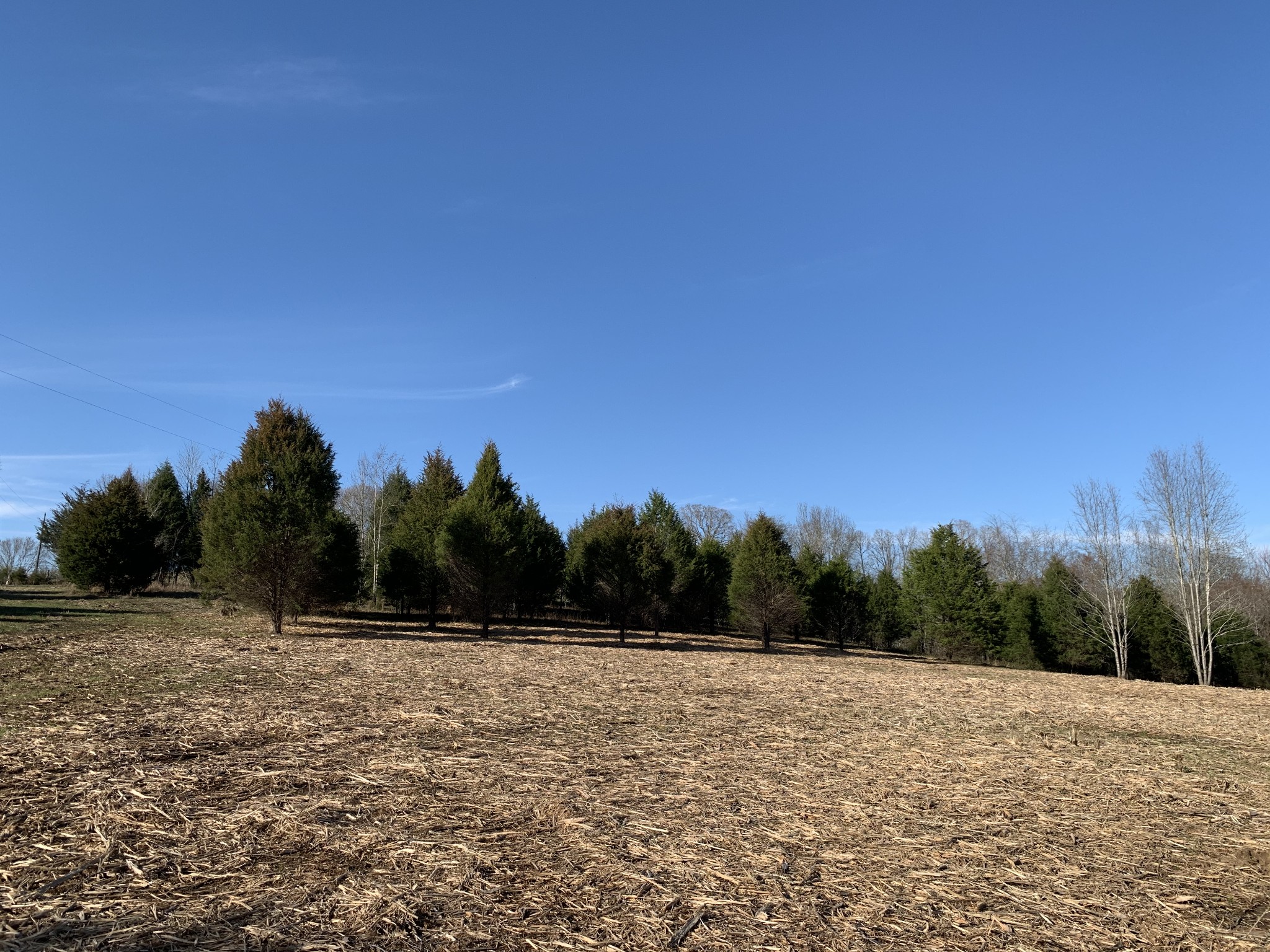 0 Collins Road Vanleer, TN 37181 - Photo 4 of 7 Gallery Image 4