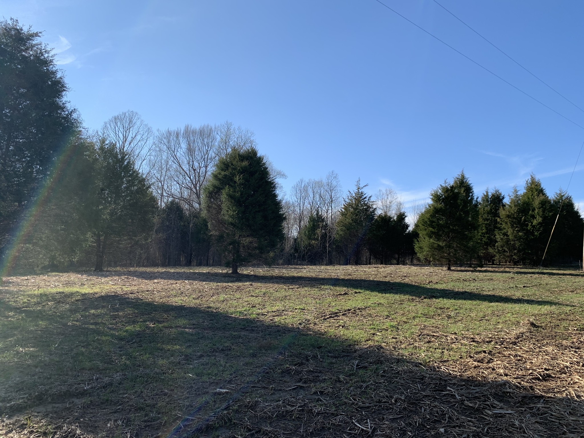 0 Collins Road Vanleer, TN 37181 - Photo 5 of 7 Gallery Image 5