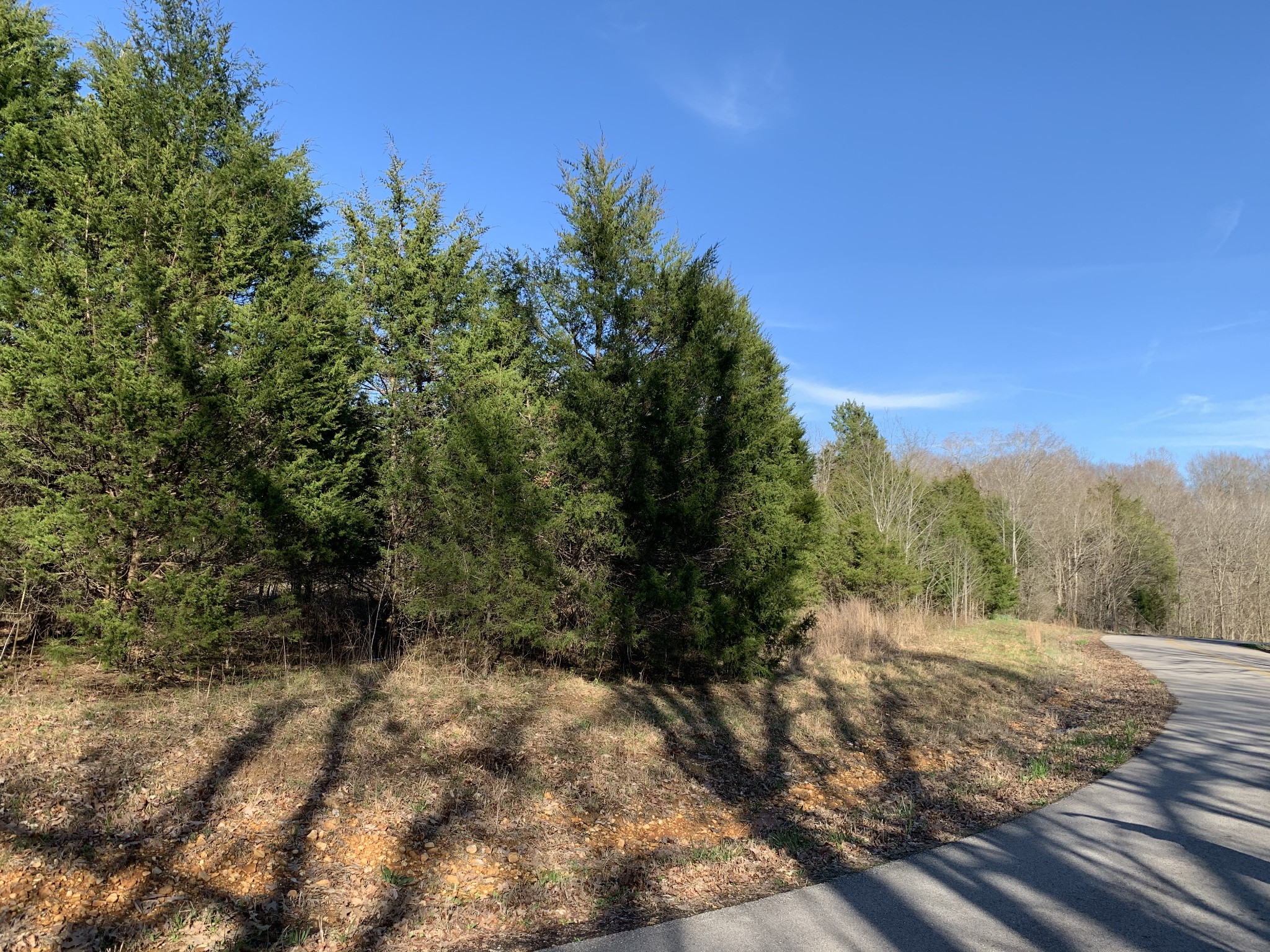 0 Collins Road Vanleer, TN 37181 - Photo 6 of 7 Gallery Image 6