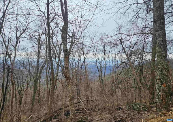 $135,000 | Tbd Lot 17-18 Tbd Lane, Unit 17 & 18, Free Union, VA 22940
