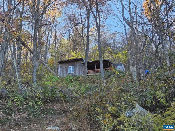 a view of a backyard with large trees