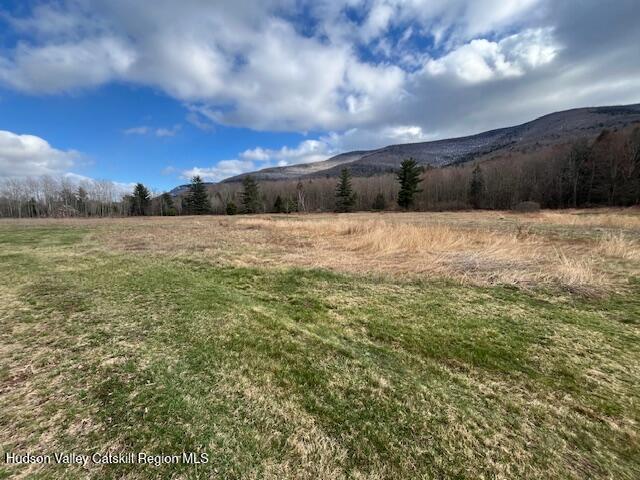 184-210 Silver Spring Road Jewett, NY 12492 - Photo 11 of 20 IMG_2395