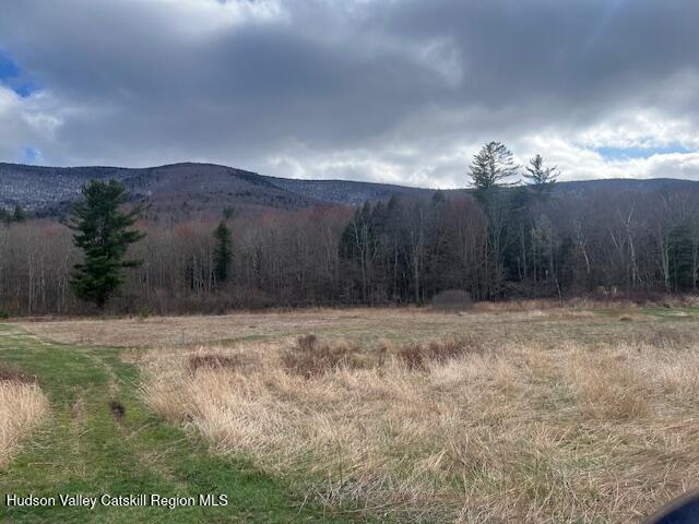 184-210 Silver Spring Road Jewett, NY 12492 - Photo 12 of 20 IMG_2394