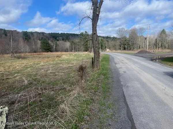 a view of a backyard with large trees