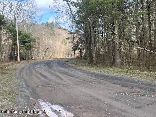 184-210 Silver Spring Road Jewett, NY 12492 - Photo 4 of 20 IMG_2384