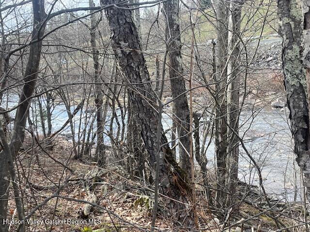 184-210 Silver Spring Road Jewett, NY 12492 - Photo 5 of 20 IMG_2383