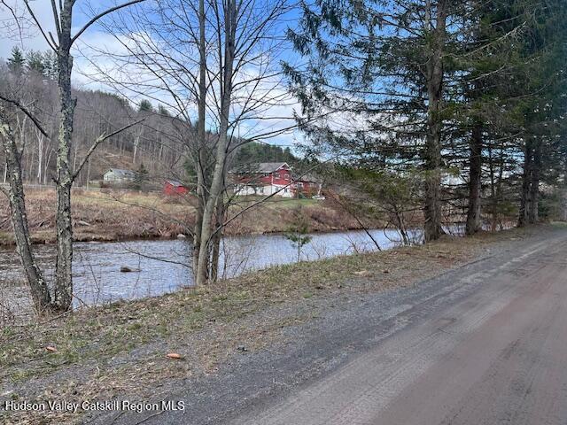 184-210 Silver Spring Road Jewett, NY 12492 - Photo 6 of 20 IMG_2390