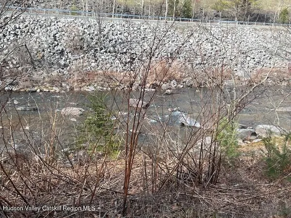 a view of a yard with large trees