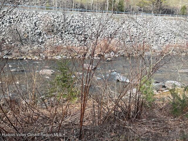 184-210 Silver Spring Road Jewett, NY 12492 - Photo 7 of 20 IMG_2382