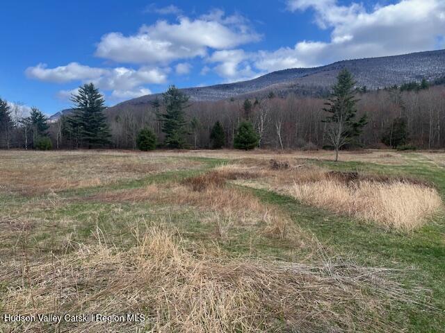 184-210 Silver Spring Road Jewett, NY 12492 - Photo 9 of 20 IMG_2392