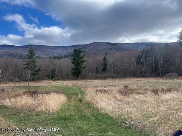 184-210 Silver Spring Road Jewett, NY 12492 - Photo 10 of 20 IMG_2393