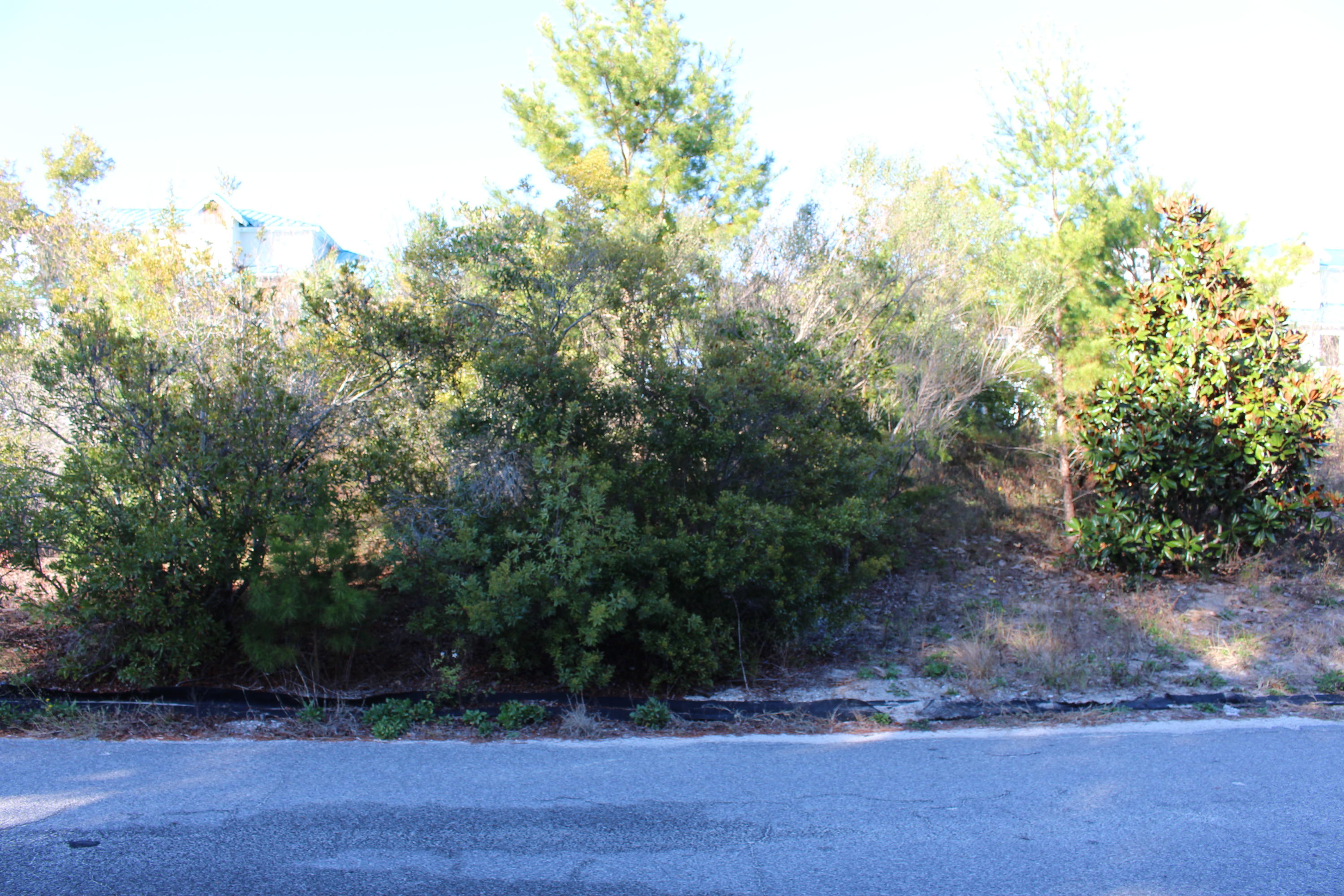 Lot 10 Triggerfish Street Santa Rosa Beach, FL 32459 - Photo 11 of 12 IMG_1428
