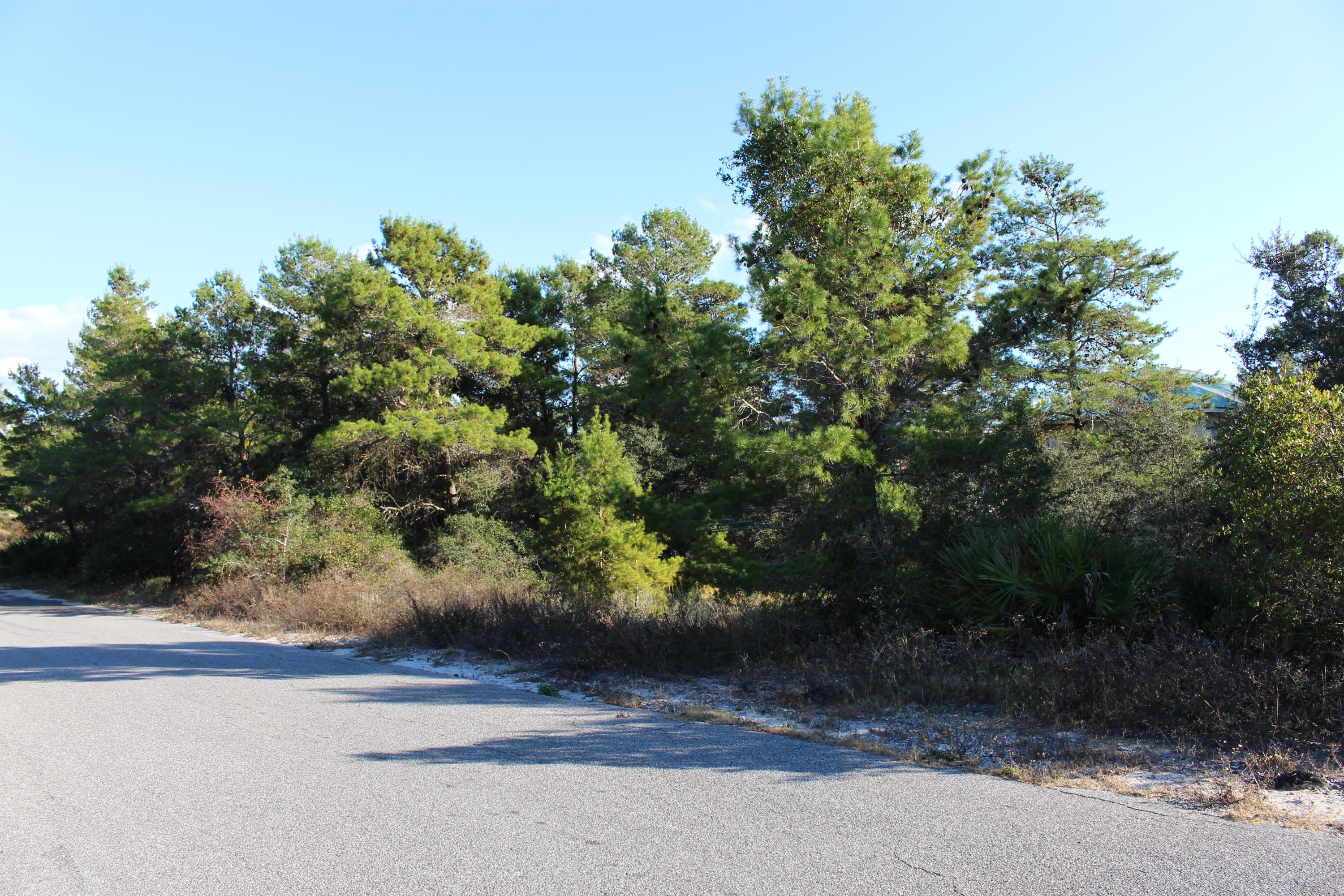 Lot 10 Triggerfish Street Santa Rosa Beach, FL 32459 - Photo 3 of 12 IMG_1420