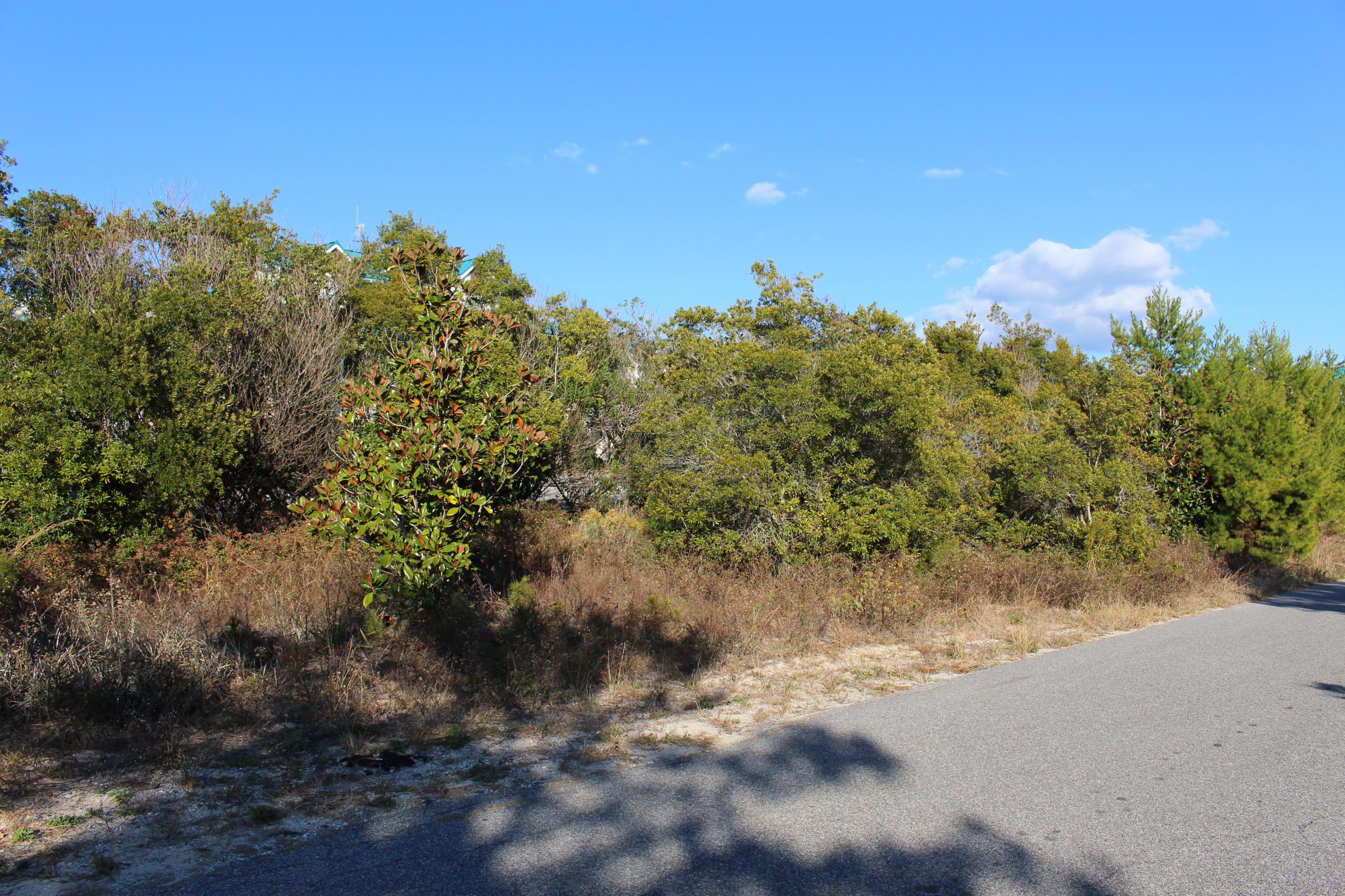 Lot 10 Triggerfish Street Santa Rosa Beach, FL 32459 - Photo 6 of 12 IMG_1423