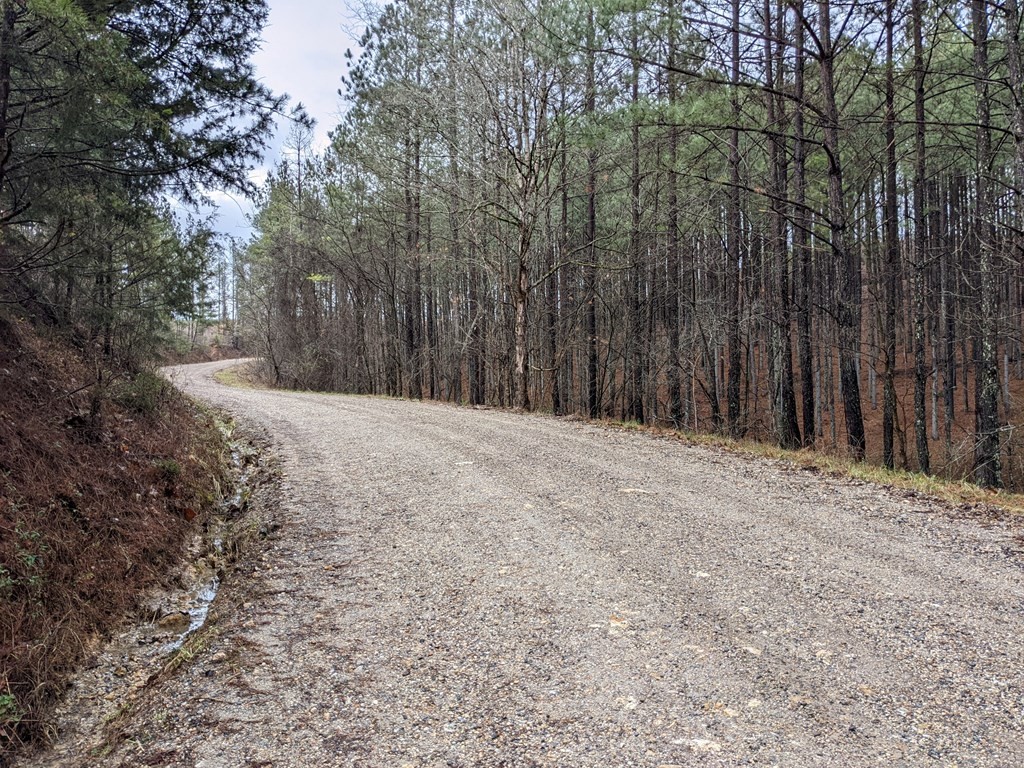 602 Dake Road Decatur, TN 37322 - Photo 8 of 17