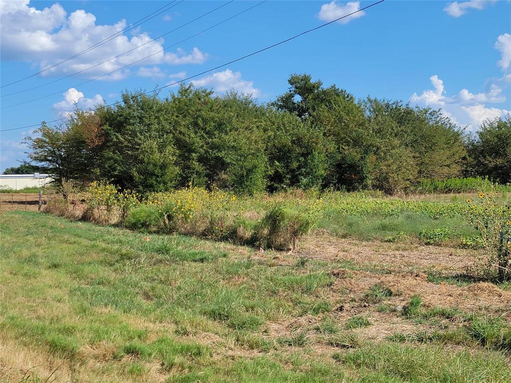 a view of a field with a tree in it