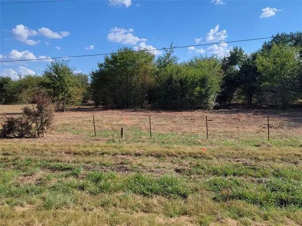 a view of a yard with an tree