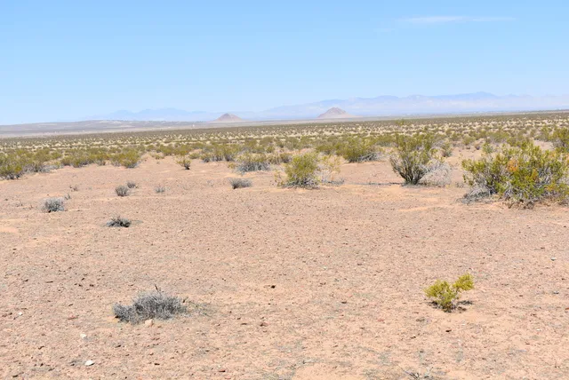 a view of beach and ocean