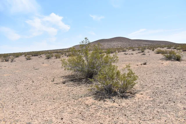 a view of a dry field with mountains in the background