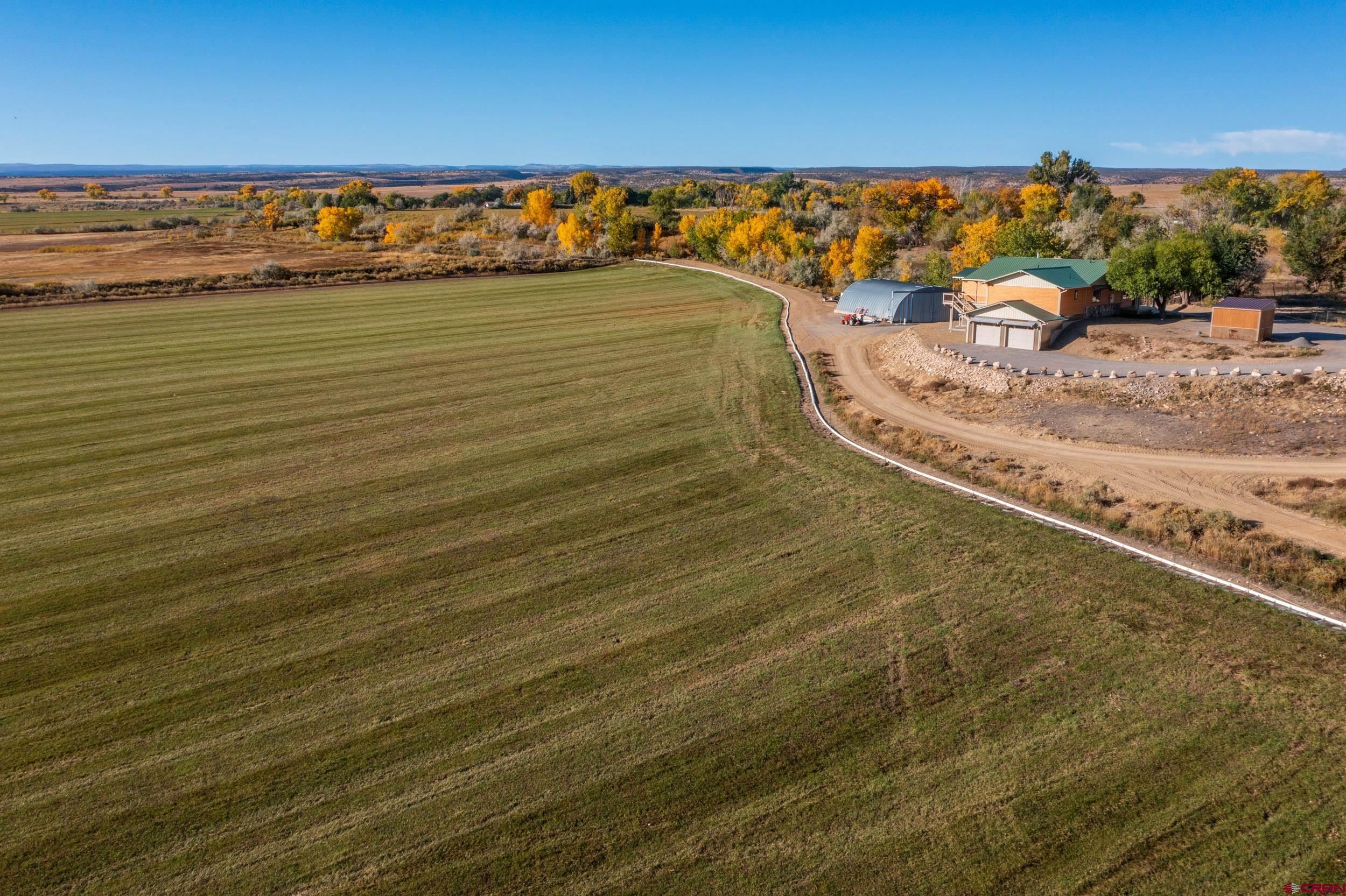 53086 Easter Road Olathe, CO 81425 - Photo 7 of 35 Gallery Image 7
