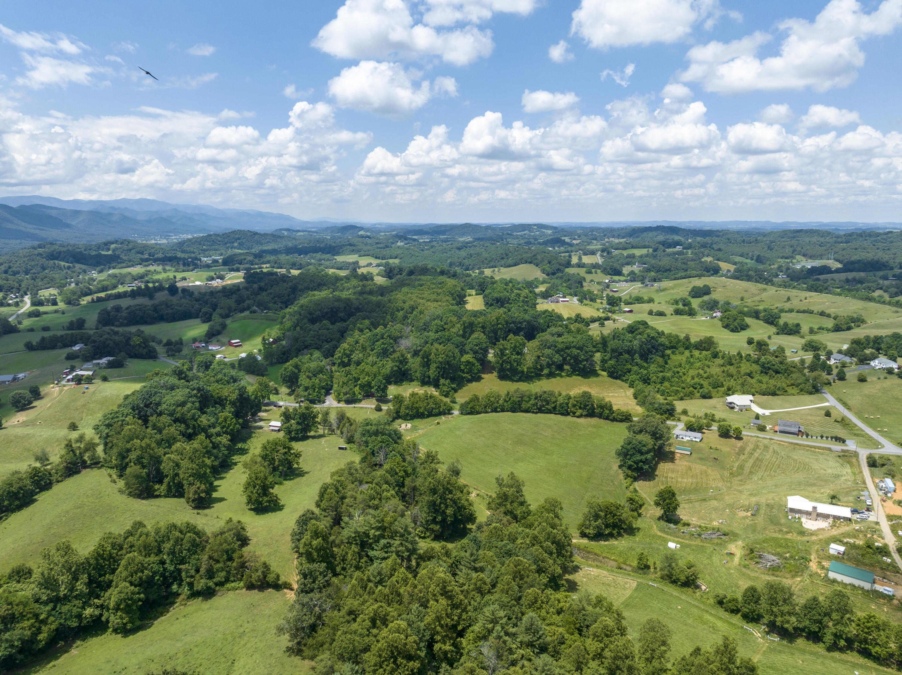113 Oliver Edwards Road Jonesborough, TN 37659 - Photo 44 of 59 Oliver-Aerials-19