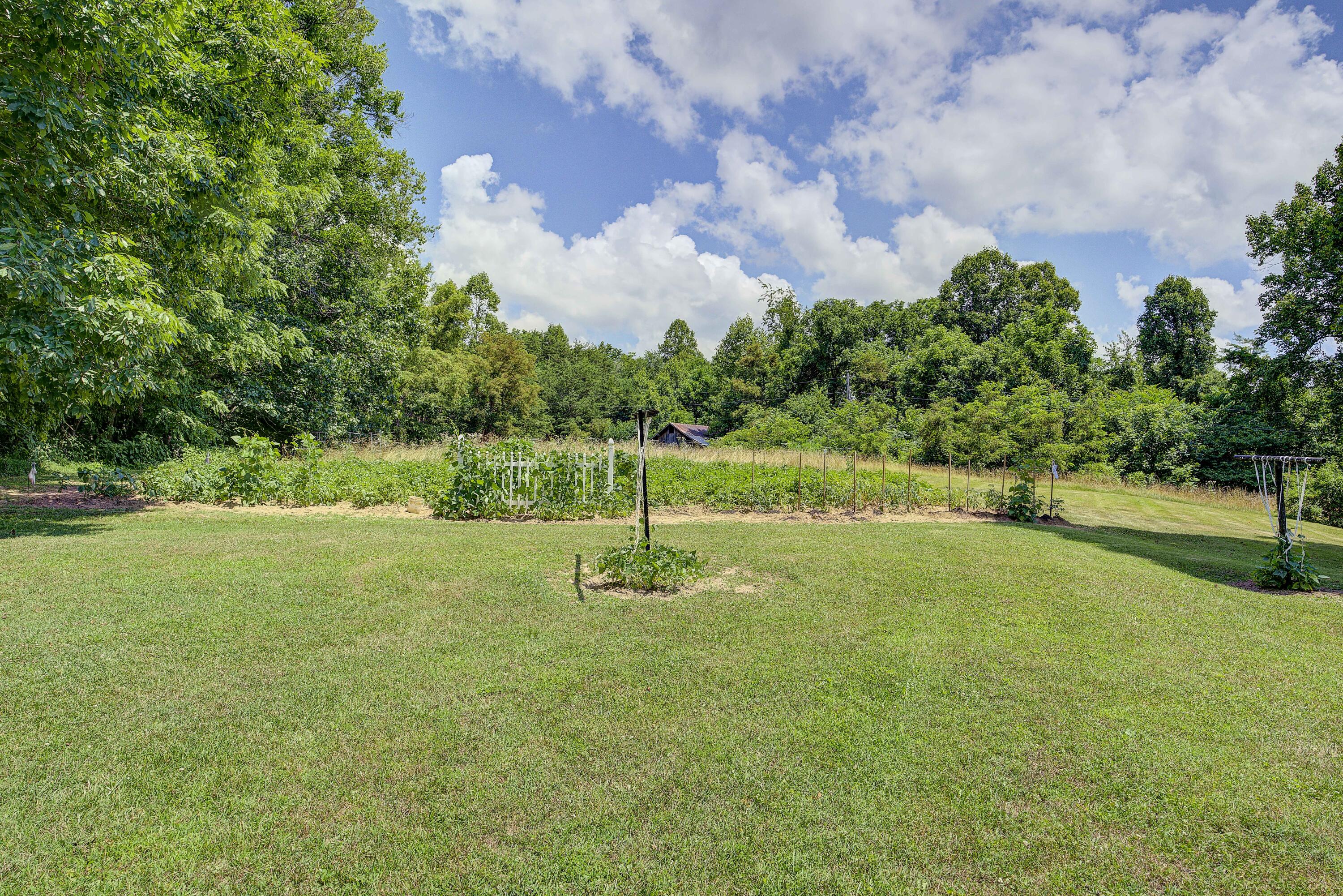 113 Oliver Edwards Road Jonesborough, TN 37659 - Photo 46 of 59 Oliver-31