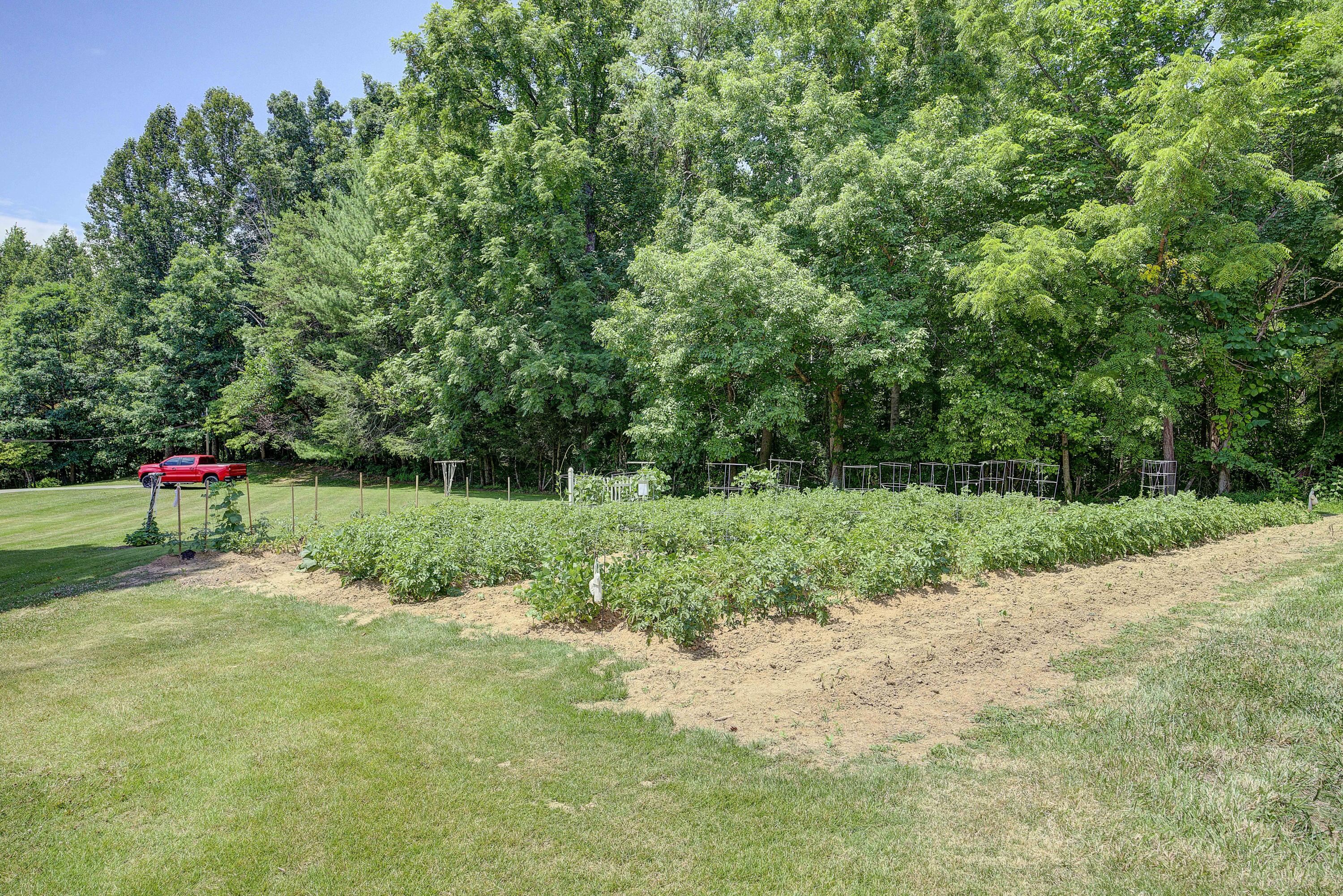 113 Oliver Edwards Road Jonesborough, TN 37659 - Photo 47 of 59 Oliver-33
