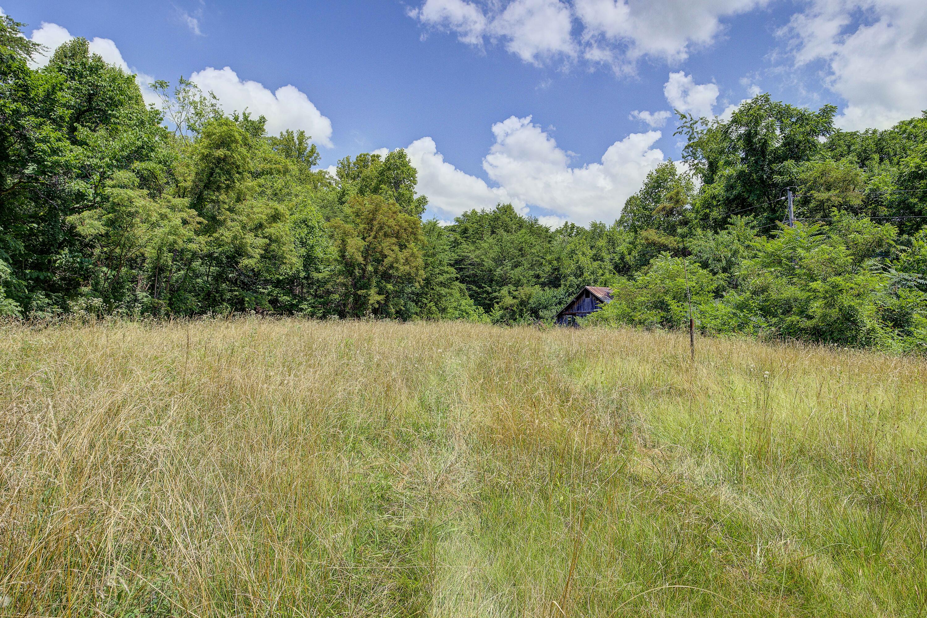 113 Oliver Edwards Road Jonesborough, TN 37659 - Photo 48 of 59 Oliver-34