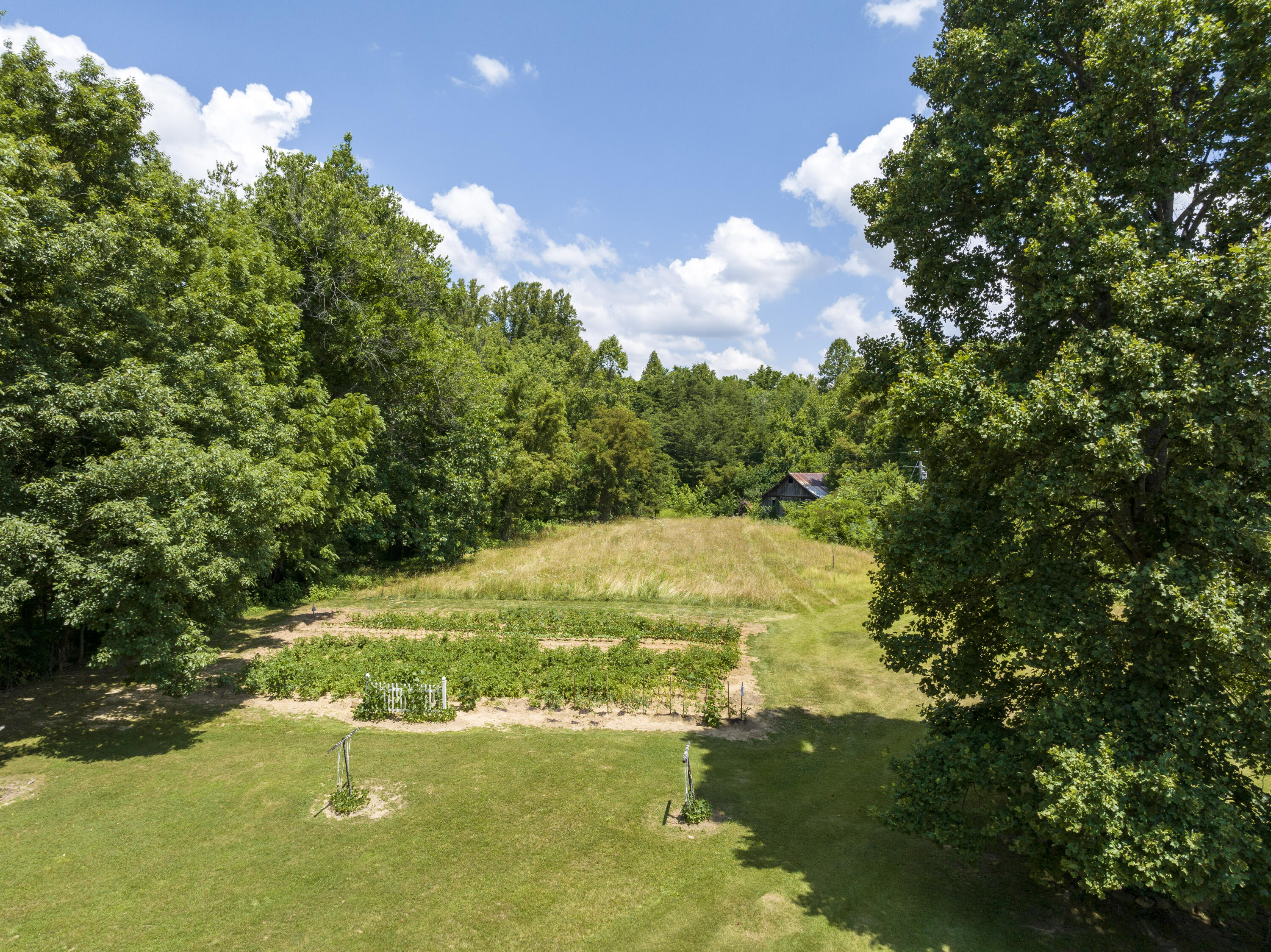 113 Oliver Edwards Road Jonesborough, TN 37659 - Photo 50 of 59 Oliver-Aerials-3