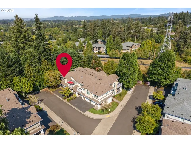 a view of city and mountain