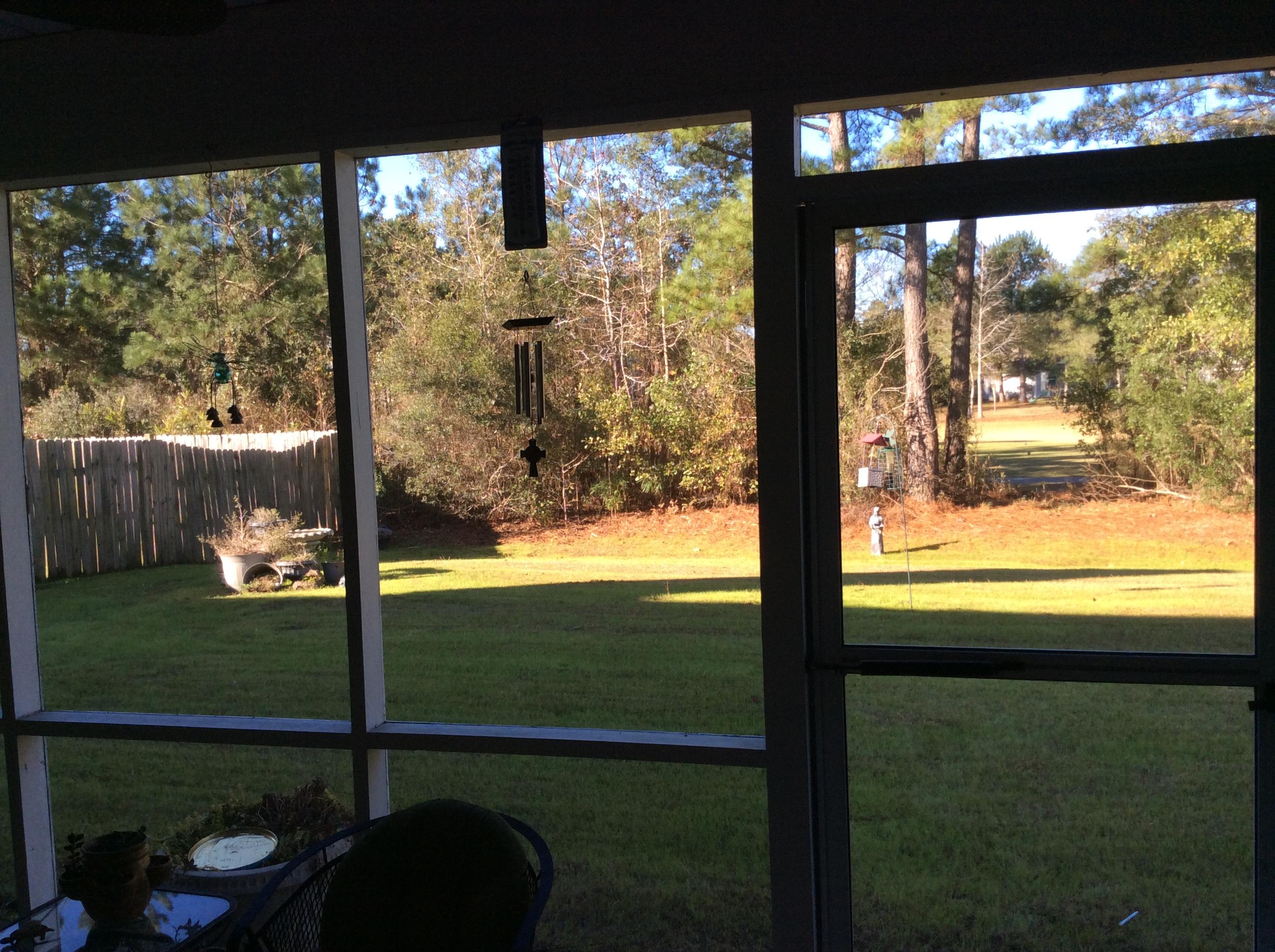 9428 Harroway Road Summerville, SC 29485 - Photo 9 of 12 Back Porch