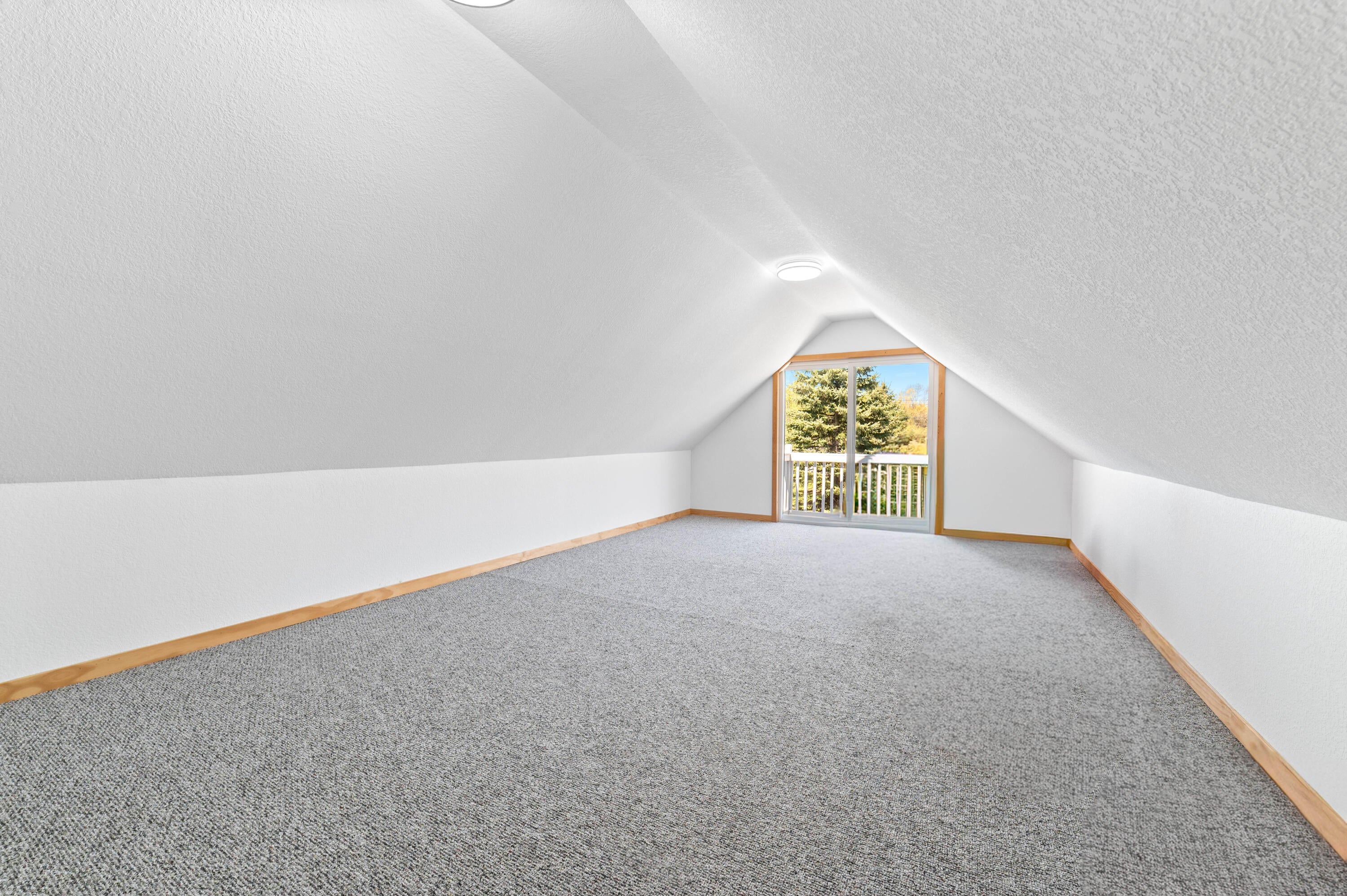 1011 Opal Lake Road Gaylord, MI 49735 - Photo 61 of 84 DSC_2920