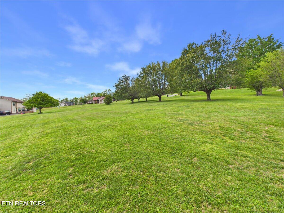 263 Browning Loop Pineville, KY 40977 - Photo 8 of 30 IMG_1363