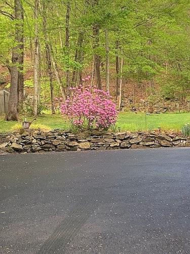 25 Ponderosa Road Carmel, NY 10512 - Photo 4 of 38