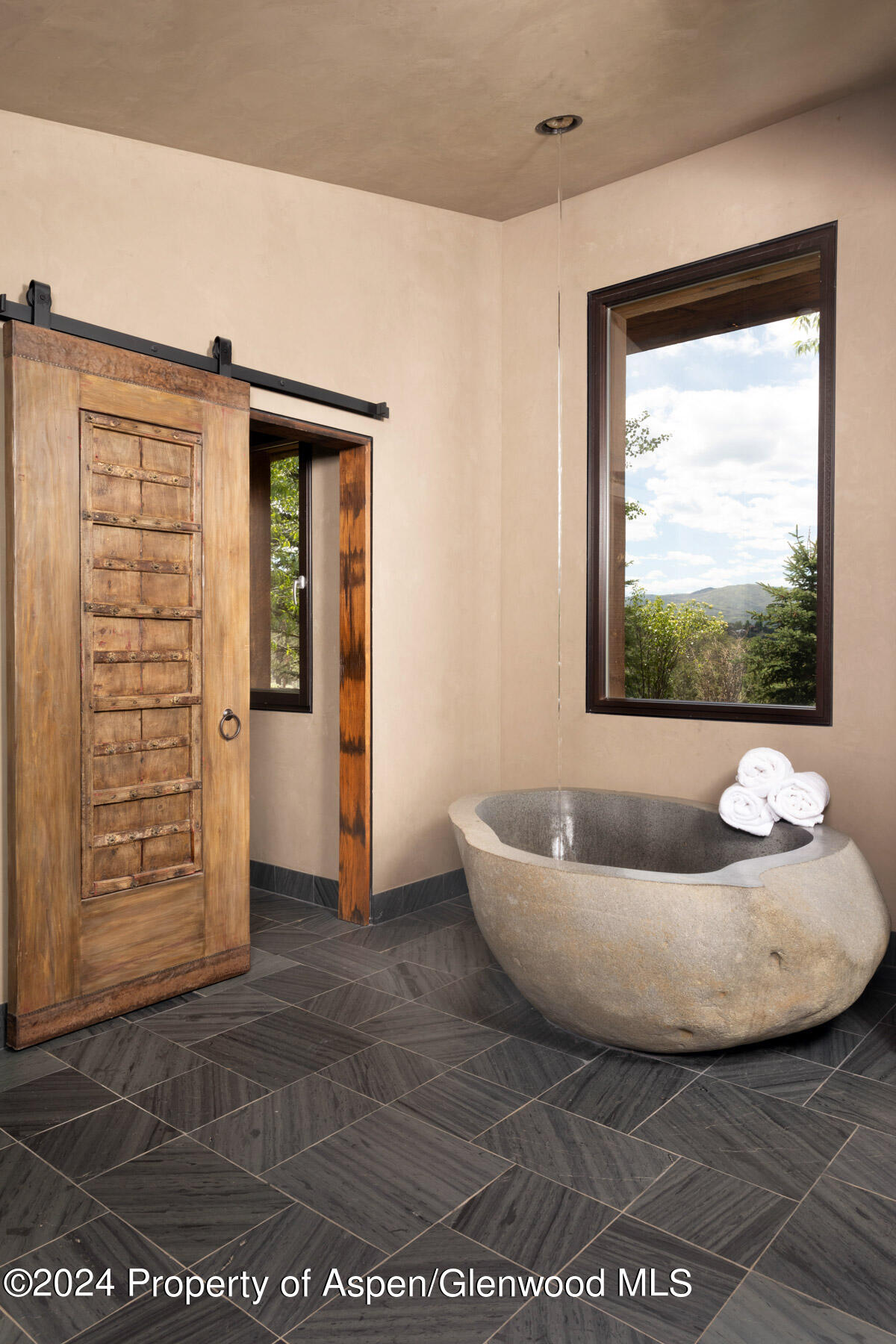 665 Callicotte Ranch Drive Carbondale, CO 81623 - Photo 12 of 39 a living room with furniture and a window