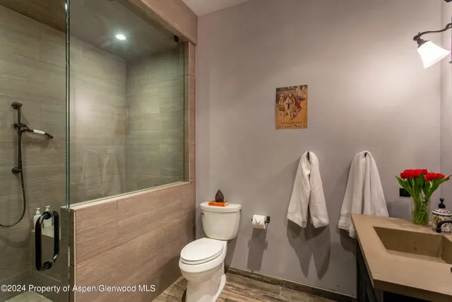 a bathroom with a sink a toilet and a shower