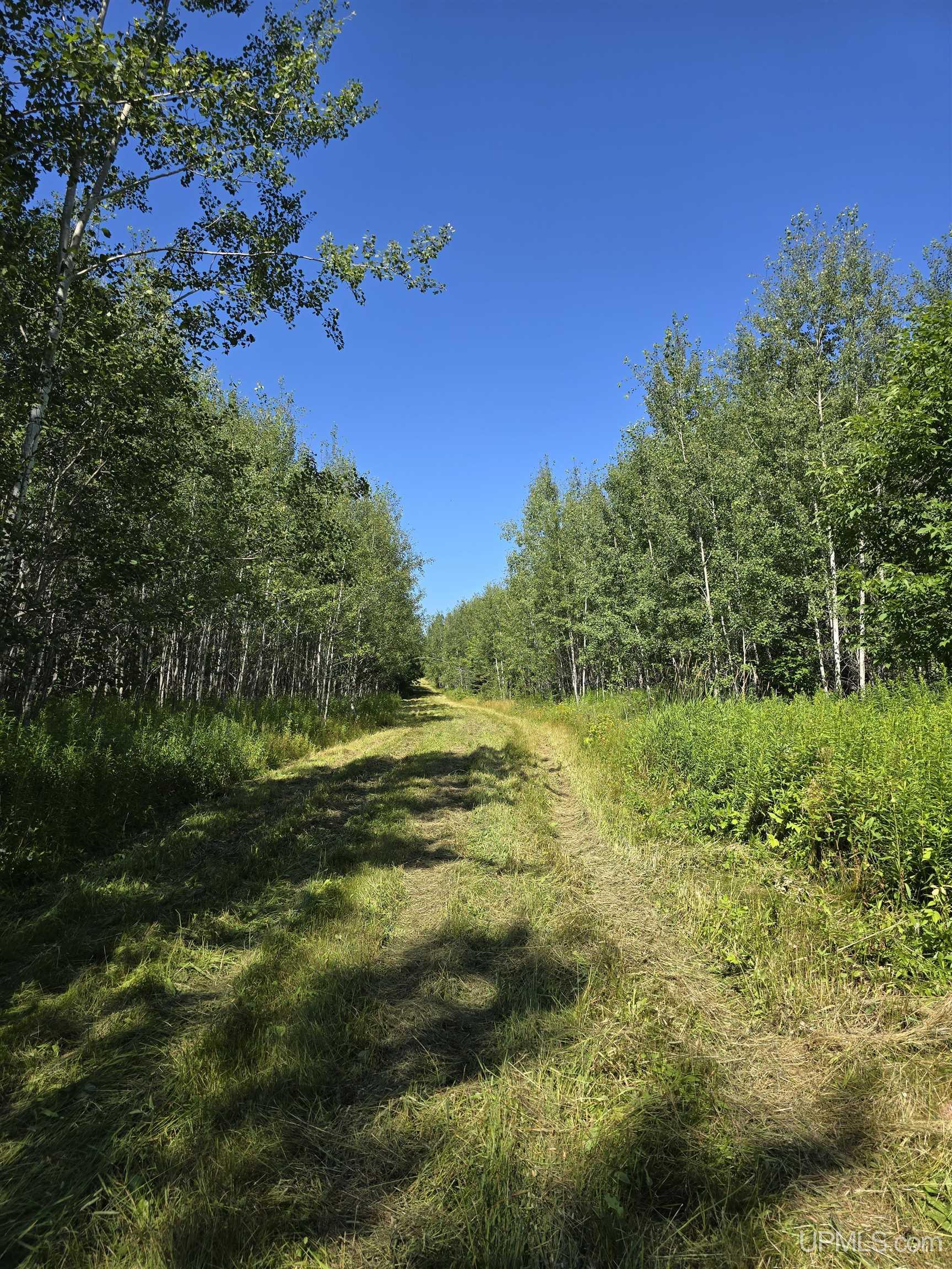 35348 Calumet Road Ontonagon, MI 49953 - Photo 38 of 88