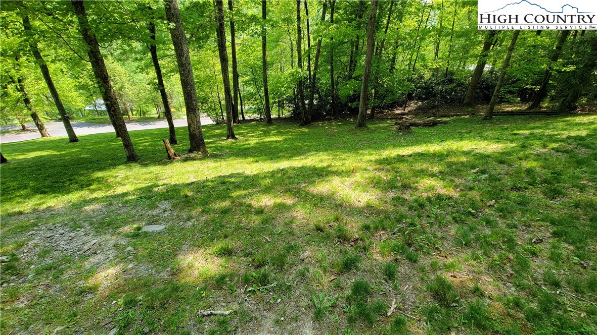 239 Wyndham Way Boone, NC 28607 - Photo 3 of 32 a view of a park with large trees