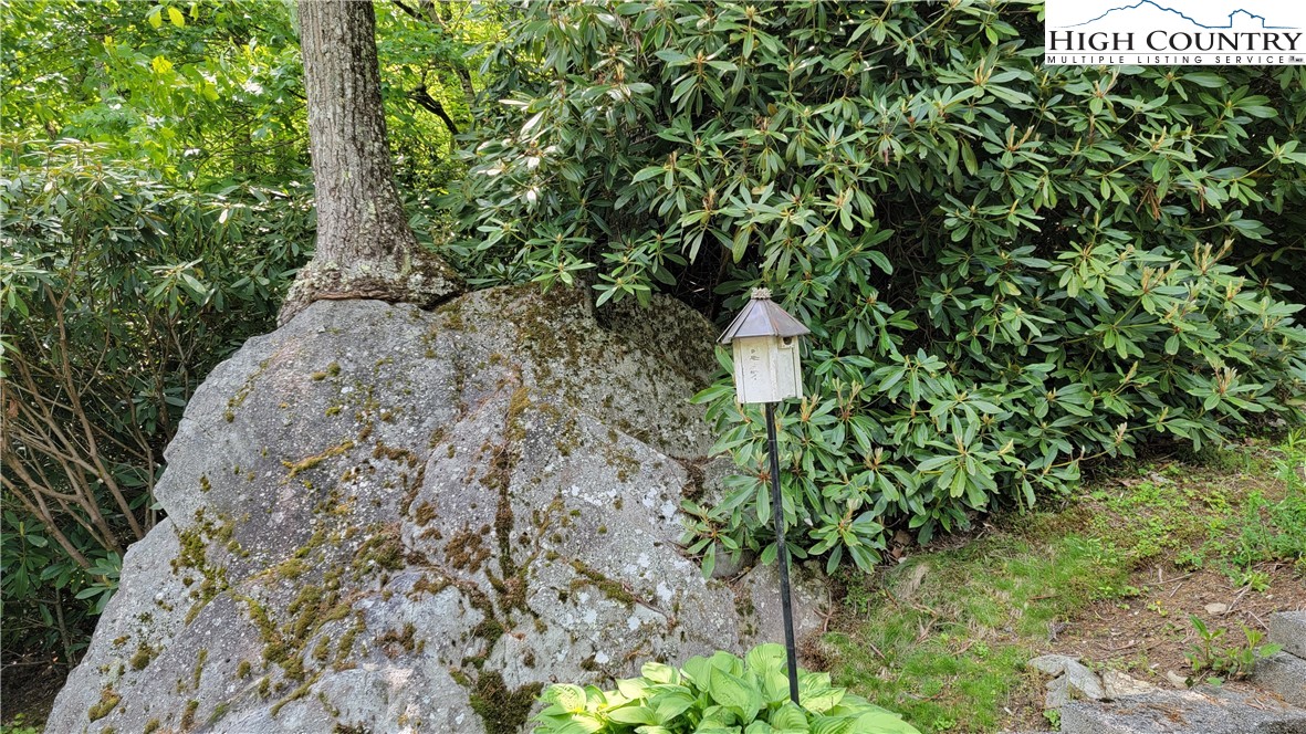 239 Wyndham Way Boone, NC 28607 - Photo 32 of 32 a plant that is in a garden