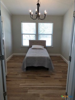 124 Silk Tree Lane Round Rock, TX 78664 - Photo 3 of 12
