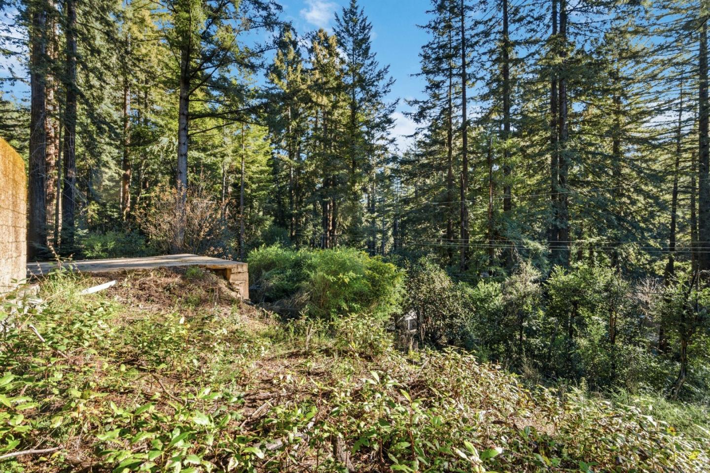 315 Alder Road Boulder Creek, CA 95006 - Photo 12 of 17 a view of a garden with large trees