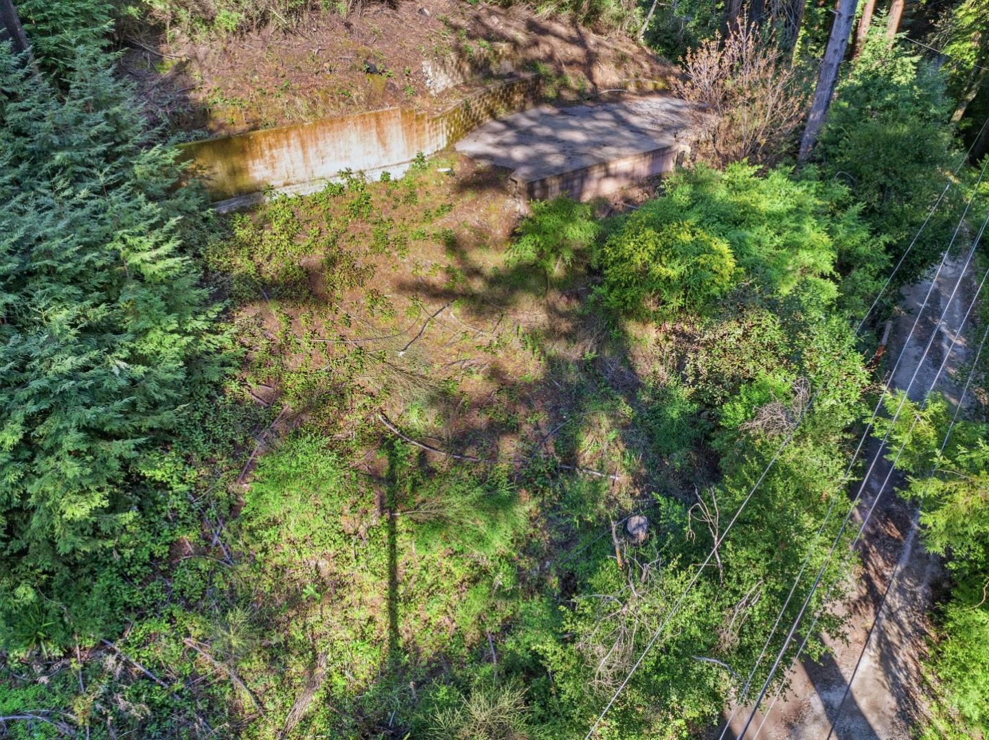 315 Alder Road Boulder Creek, CA 95006 - Photo 13 of 17 a backyard of a building with lots of trees