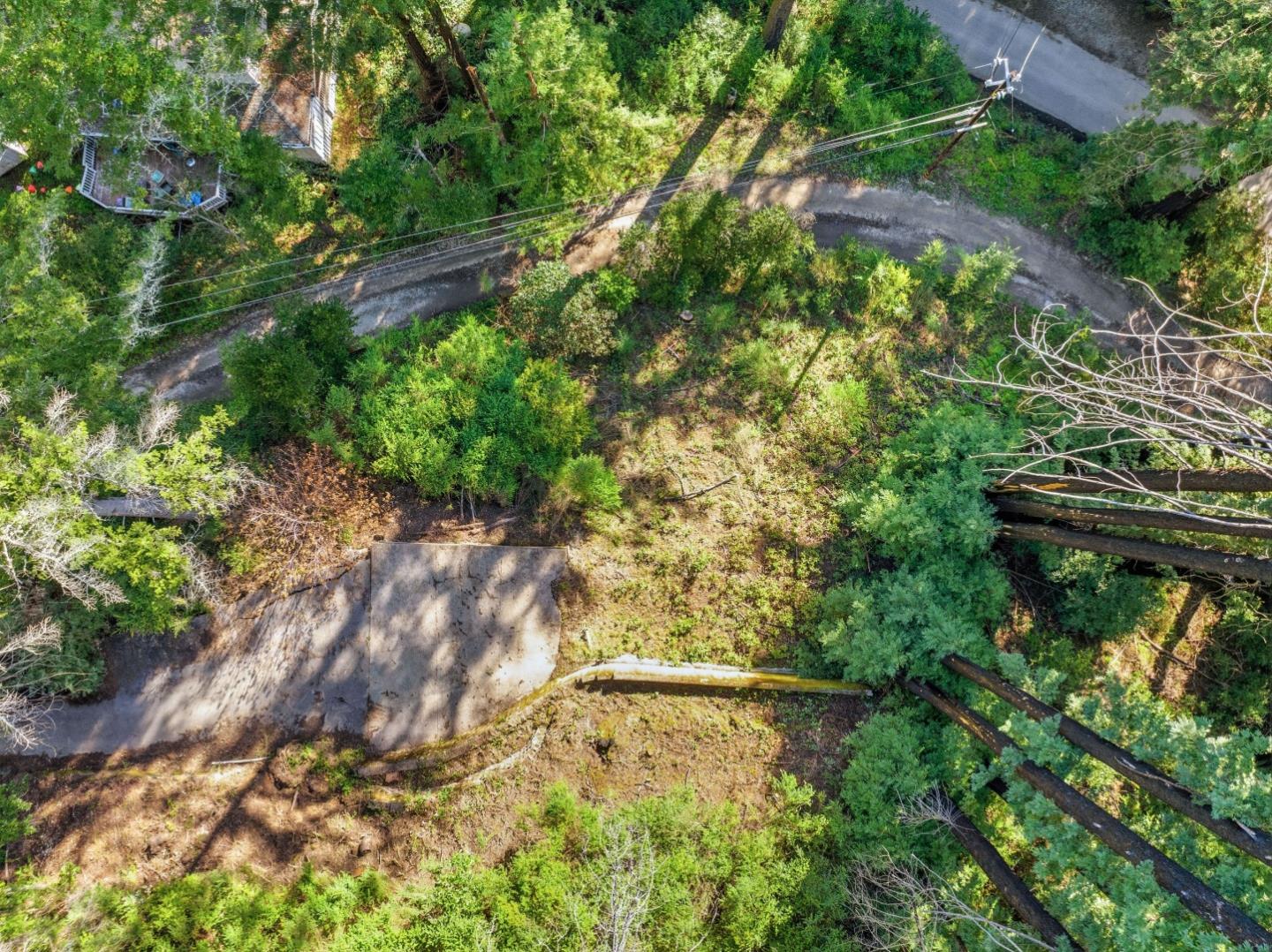 315 Alder Road Boulder Creek, CA 95006 - Photo 15 of 17 a view of a garden with plants