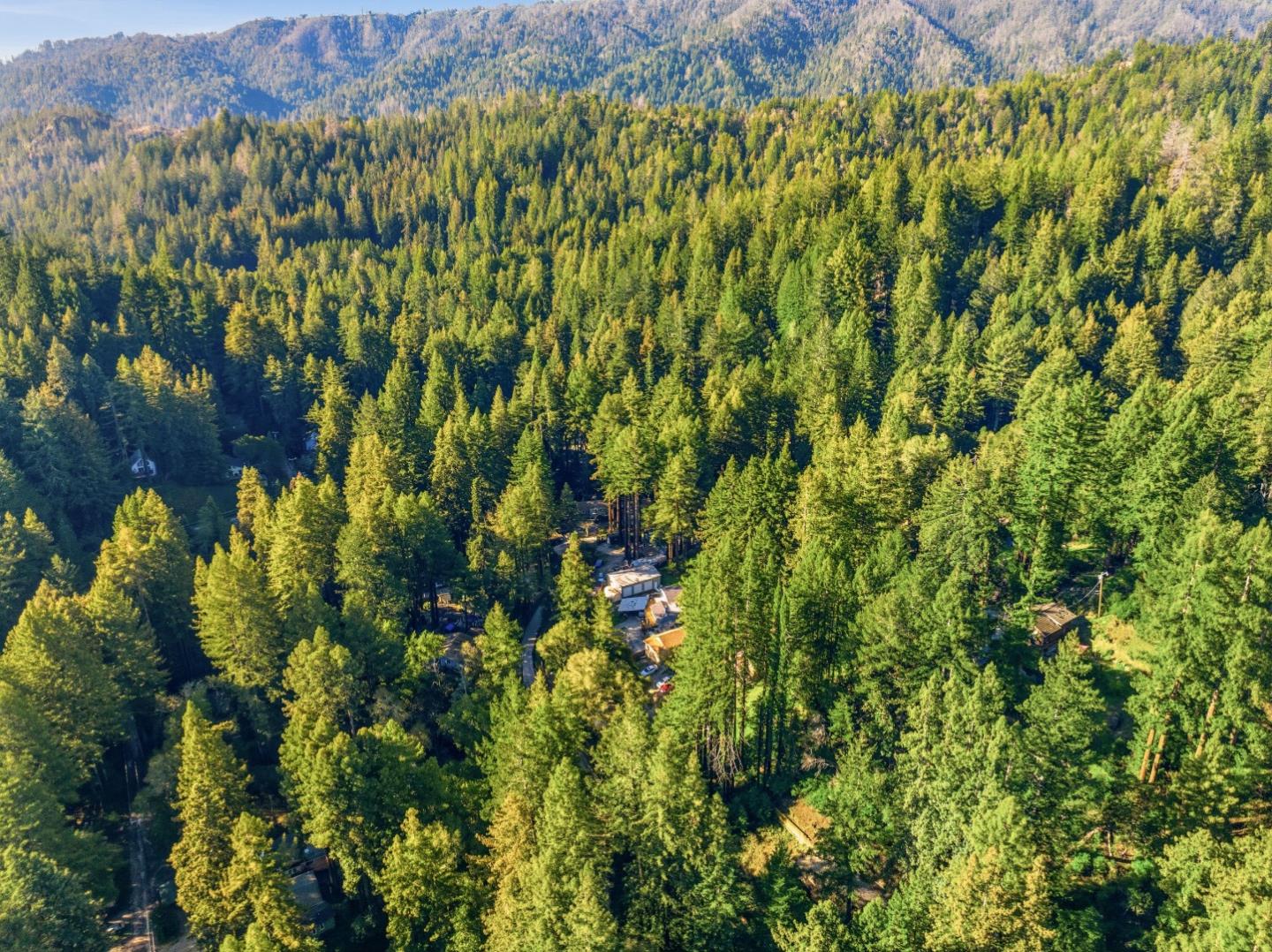 315 Alder Road Boulder Creek, CA 95006 - Photo 16 of 17 a view of a lush green forest