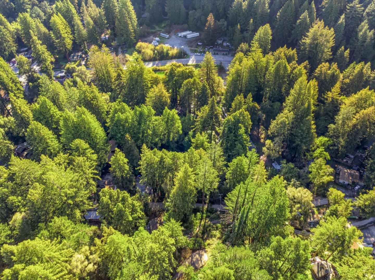 315 Alder Road Boulder Creek, CA 95006 - Photo 17 of 17 a view of a plant