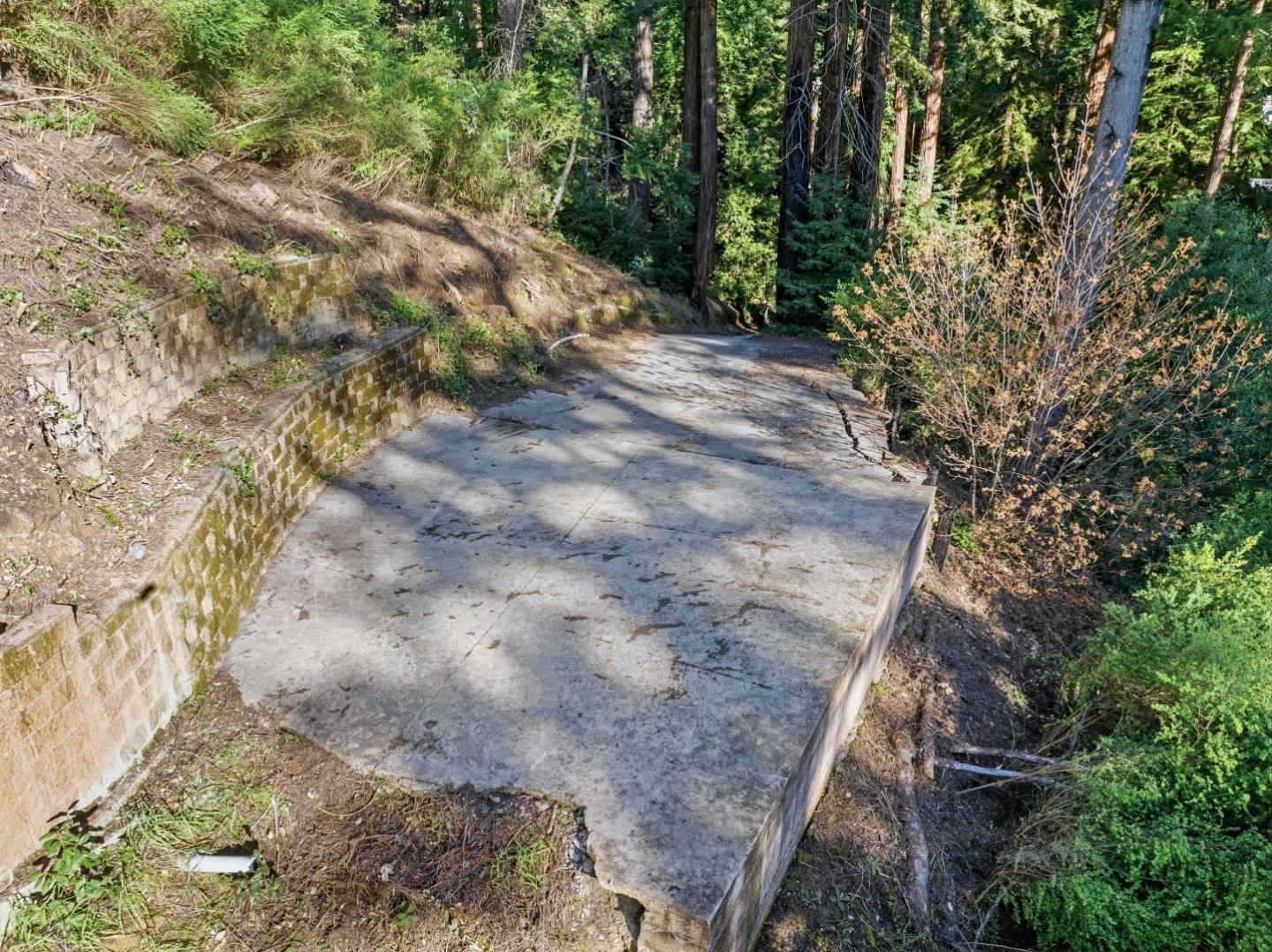 315 Alder Road Boulder Creek, CA 95006 - Photo 6 of 17 a view of a yard with plants and trees