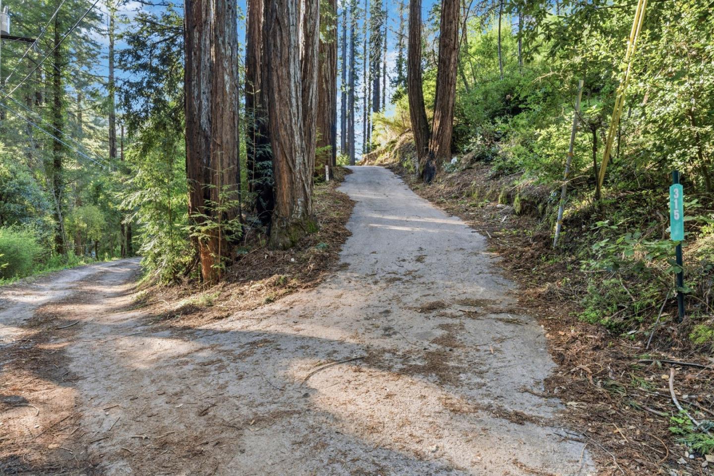 315 Alder Road Boulder Creek, CA 95006 - Photo 8 of 17 a view of a backyard with plants and trees